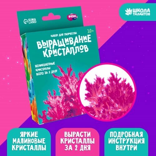 Набор для творчества «Лучистые кристаллы», цвет малиновый от компании М.Видео - фото 1