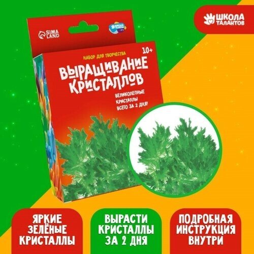 Набор для творчества «Лучистые кристаллы», цвет зелёный от компании М.Видео - фото 1