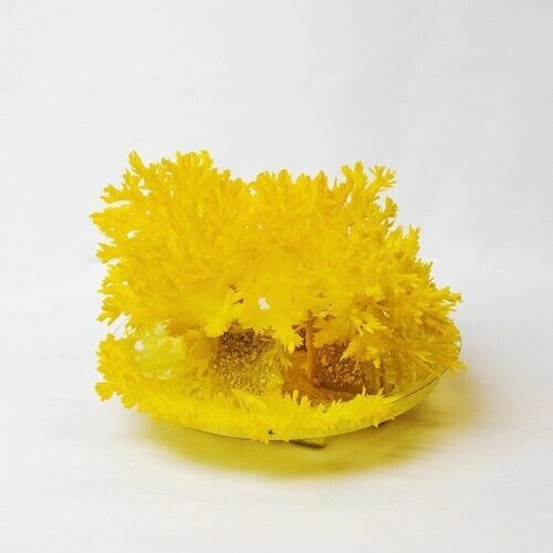 Набор для творчества «Лучистые кристаллы», цвет жёлтый от компании М.Видео - фото 1