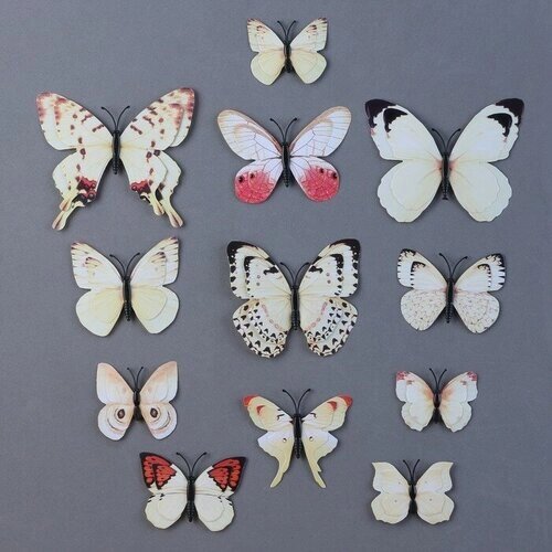 Набор для украшения Бабочки, 12 шт, с чeрными вставками, цвет белый от компании М.Видео - фото 1