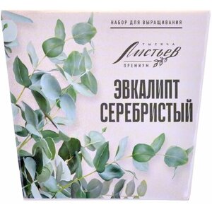 Набор для выращивания растений Эвкалипт серебристый Тысяча листьев Премиум