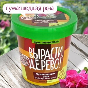 Набор для выращивания Вырасти, Дерево! Сумасшедшая роза, 1 эксперимент, разноцветный