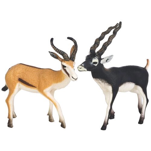Набор фигурок животных серии "Мир диких животных": Антилопы Джейран и Гарна от компании М.Видео - фото 1