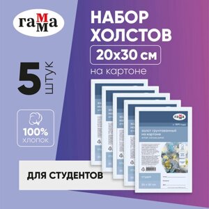 Набор холстов ГАММА Студия на картоне 20x30 см, 5 шт, 25112152030 5 шт. 30 см 20 см