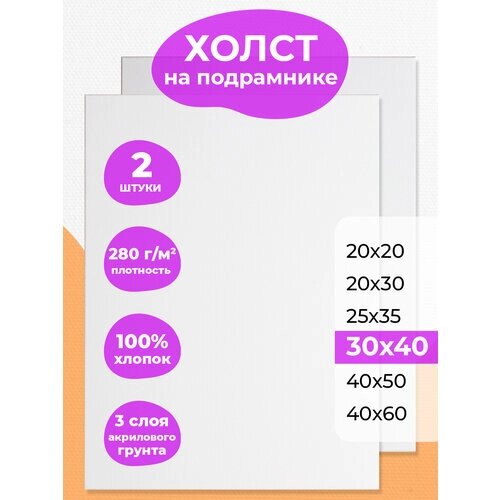 Набор холстов на подрамнике 30х40 РамКом - 2 шт, холст грунтованный хлопковый для рисования, для акрила, масла, гуаши, темперы, белый маленький хост от компании М.Видео - фото 1