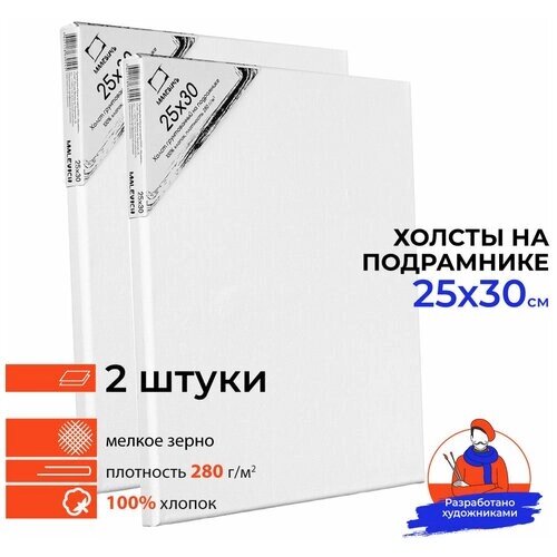 Набор холстов на подрамнике Малевичъ, 280 г/м, 25х30 см, 2 шт от компании М.Видео - фото 1