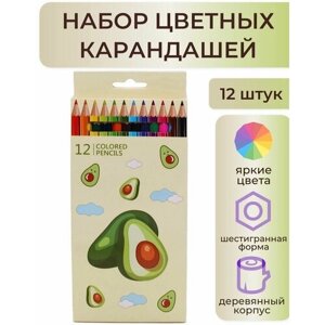 Набор карандашей Avocado, 12 цветов, дизайн авокадо, для школы