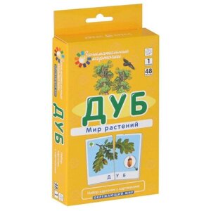 Набор карточек Айрис-пресс Занимательные карточки. Дуб. Мир растений 14x8 см 48 шт.