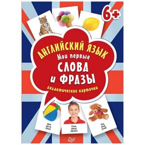 Набор карточек Издательство Питер Английский язык. Мои первые слова и фразы 14.9x10.7 см 60 шт.