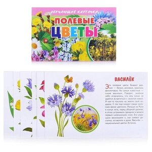 Набор карточек Литур Полевые цветы 19x12 см 16 шт.