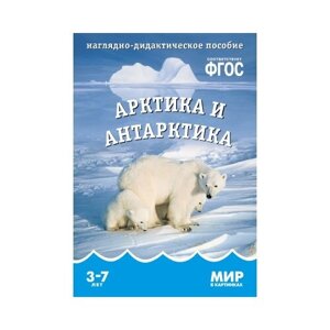 Набор карточек Мозаика-Синтез ФГОС Мир в картинках. Арктика и Антарктика 29.5x20.5 см 8 шт.