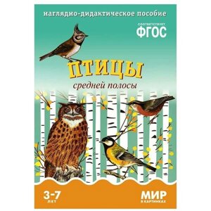 Набор карточек Мозаика-Синтез ФГОС Мир в картинках. Птицы средней полосы 29.5x20.5 см 8 шт.