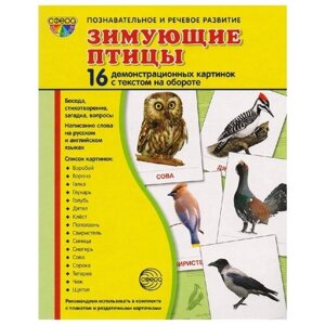 Набор карточек Творческий Центр СФЕРА Супер. Зимующие птицы 22x18 см 16 шт.