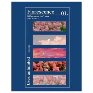 Набор клеящихся закладок-стикеров Florescence