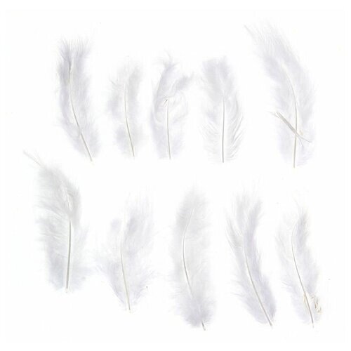 Набор перьев для декора 10 шт, размер 1 шт: 10 x 2 см, цвет белый от компании М.Видео - фото 1