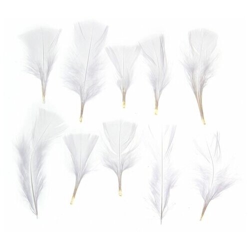 Набор перьев для декора 10 шт, размер 1 шт: 10 x 4 см, цвет белый от компании М.Видео - фото 1