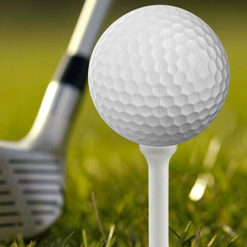 Набор подставок для гольф мяча, 10 штук, пластик, 1 х 7 см, белый цвет от компании М.Видео - фото 1