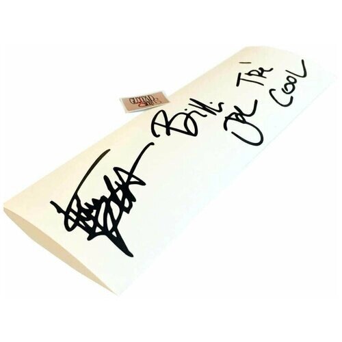 Набор виниловых наклеек на гитару "Автографы Green Day"