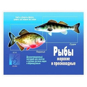 Обучающая игра Весна-Дизайн "Рыбы морские и пресноводные"Д-283)