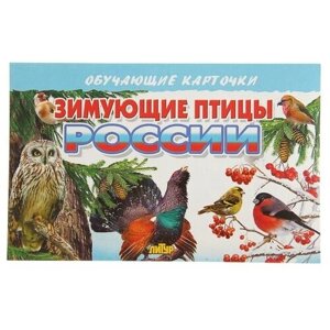 Обучающие карточки. Зимующие птицы России 2410406