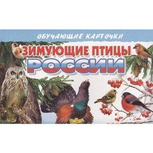 Обучающие карточки. Зимующие птицы России