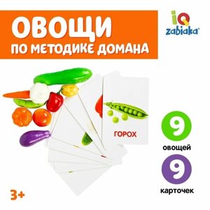 Обучающий набор по методике Г. Домана «Овощи»9 карточек + 9 овощей, счётный материал