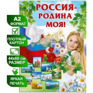 Обучающий плакат А2 с государственной символикой "Россия - Родина моя!44х60 см, картон, 1 шт.