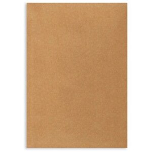 Пакет почтовый Бумажные технологии в упаковке, Крафт С4, декстрин, 229х324 мм, 80 г, 200 шт