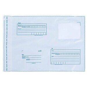 Пакеты почтовые Почта России B4 250x353, 100 штук