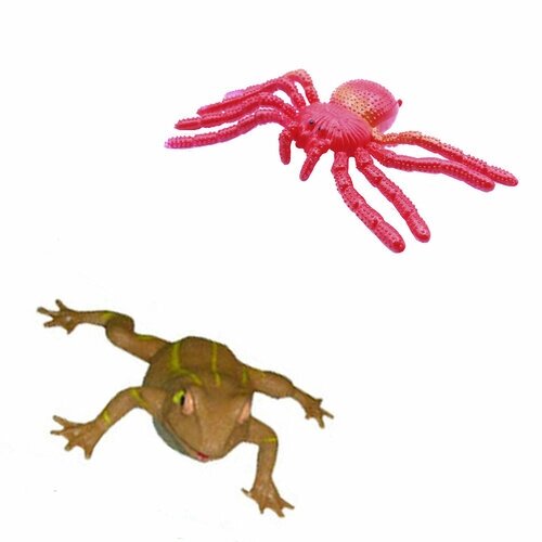 Паук и лягушка резиновая 2 шт игрушка паук антистресс лягушка фигурка от компании М.Видео - фото 1