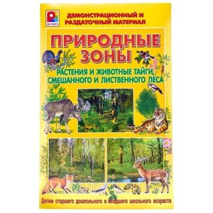 Демонстрационный материал "Растения и животные тайги, смешанного, лиственного леса в Москве от компании М.Видео