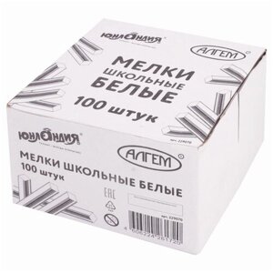 Мел белый юнландия (Алгем), натуральный, набор 100 штук, квадратный, 229070 в Москве от компании М.Видео
