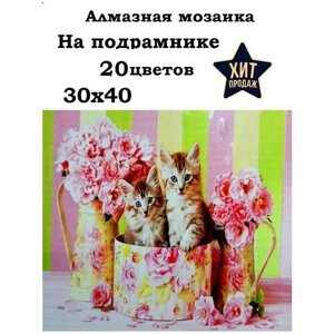 Алмазная мозаика 30x40 "Котята в коробочке с цветами" AR8861 в Москве от компании М.Видео