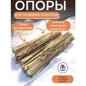 Природный материал 60 шт. 25-30 см. палки колышки для декора, творчество. Набор для создания фоторамки. в Москве от компании М.Видео