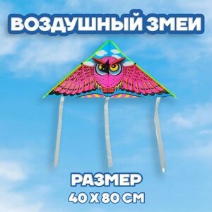 Воздушный змей «Сова», с леской в Москве от компании М.Видео