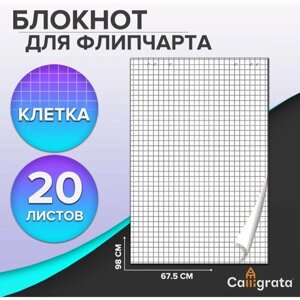 Блокнот для флипчарта в клетку, 67.5 х 98 см, 20 листов, 80 г/м2, белизна 92% в Москве от компании М.Видео