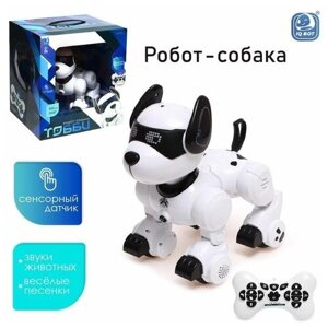 Робот-собака «Тобби», звуковые и световые эффекты в Москве от компании М.Видео