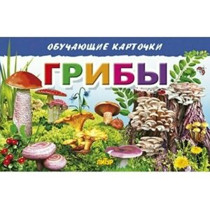 Карточки "Грибы" (в европакете). Обучающие карточки в Москве от компании М.Видео