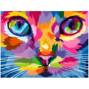 Картина по номерам 40х50 см, остров сокровищ "Радужный кот", на подрамнике, акрил, кисти, 663320 в Москве от компании М.Видео