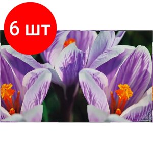 Комплект 6 штук, Коврик на стол Attache Selection 35x59см СROCUS цветок, ламиниров картон в Москве от компании М.Видео
