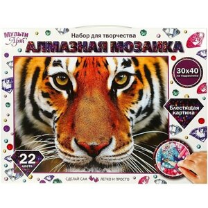 Мозаика тигр серия алмазная мозаика на подрамнике 30 см х 40 см 22 цвета MULTI ART AM30X40-MULTI33 в Москве от компании М.Видео