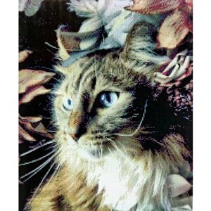 Алмазная мозаика квадратные стразы кот, кошка, майкун, шотландская , животные 40*50 полная выкладка в Москве от компании М.Видео