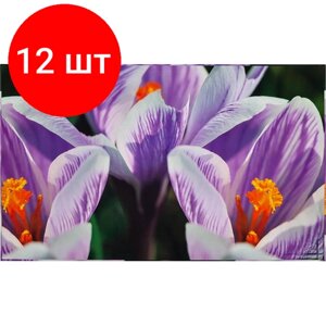 Комплект 12 штук, Коврик на стол Attache Selection 35x59см СROCUS цветок, ламиниров картон в Москве от компании М.Видео