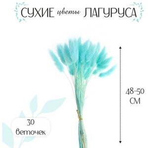 Сухие цветы лагуруса, набор 30 шт, цвет голубой в Москве от компании М.Видео