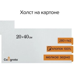 Calligrata Холст на картоне Calligrata, хлопок 100%, 20 х 40 см, 3 мм, акриловый грунт, мелкое зерно, 280 г/м2 в Москве от компании М.Видео