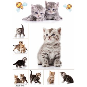 Бумага для декупажа А4 рисовая салфетка 1703 кошка котенок винтаж крафт DIY Milotto в Москве от компании М.Видео