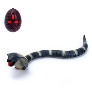 Змея радиоуправляемая «Королевская кобра», работает от аккумулятора, микс в Москве от компании М.Видео