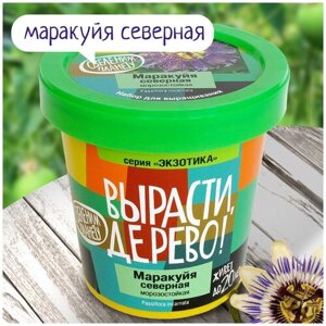 Набор для выращивания Вырасти, Дерево! Маракуйя северная, 1 эксперимент, зеленый в Москве от компании М.Видео