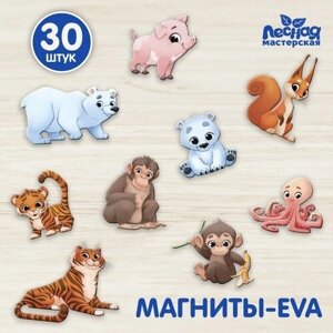 Набор магнитов для игр и обучения «Зоопарк» в Москве от компании М.Видео