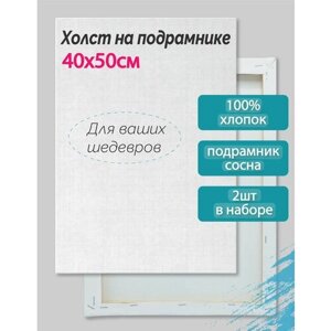 Набор холстов на подрамнике для рисования 40х50 см (2 шт), 100% хлопок, "ТТ" в Москве от компании М.Видео